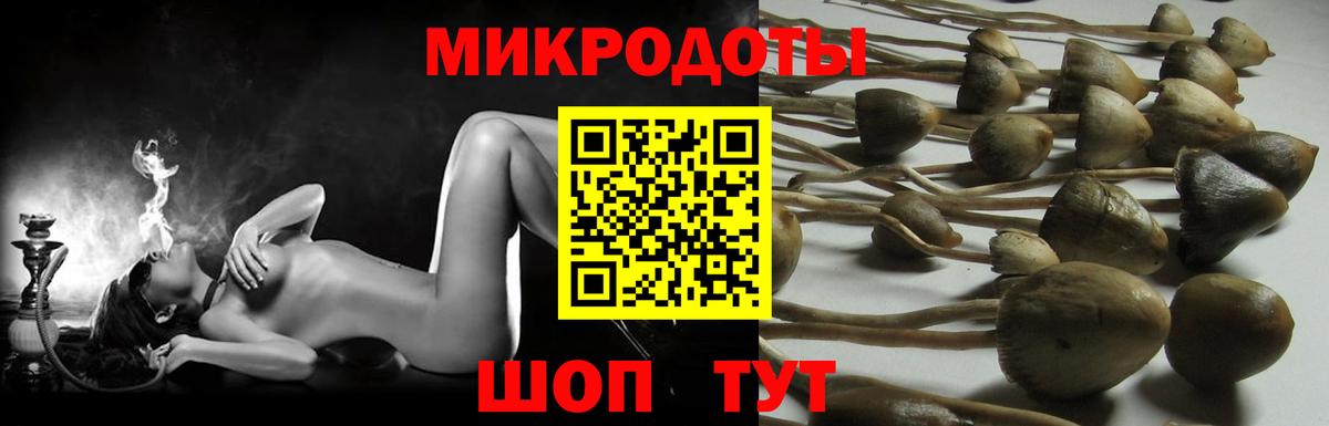 Галлюциногенные грибы Psilocybe  Вход с VPN  что такое   Томск 